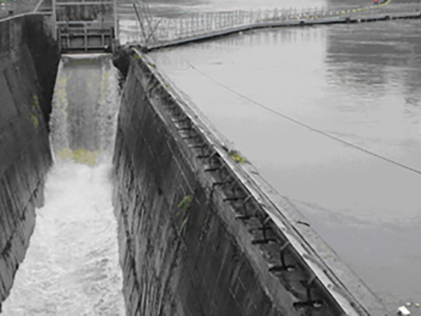 1566358180931601.jpg 圖片1.jpg